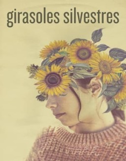 Girasoles silvestres